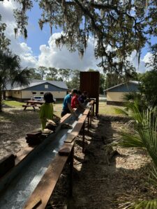 Ecology-Lodge-3.jpeg