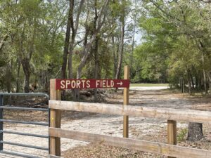 Sports-Field.jpeg